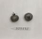 Click for 1 image(s) for this accession. FRUIT